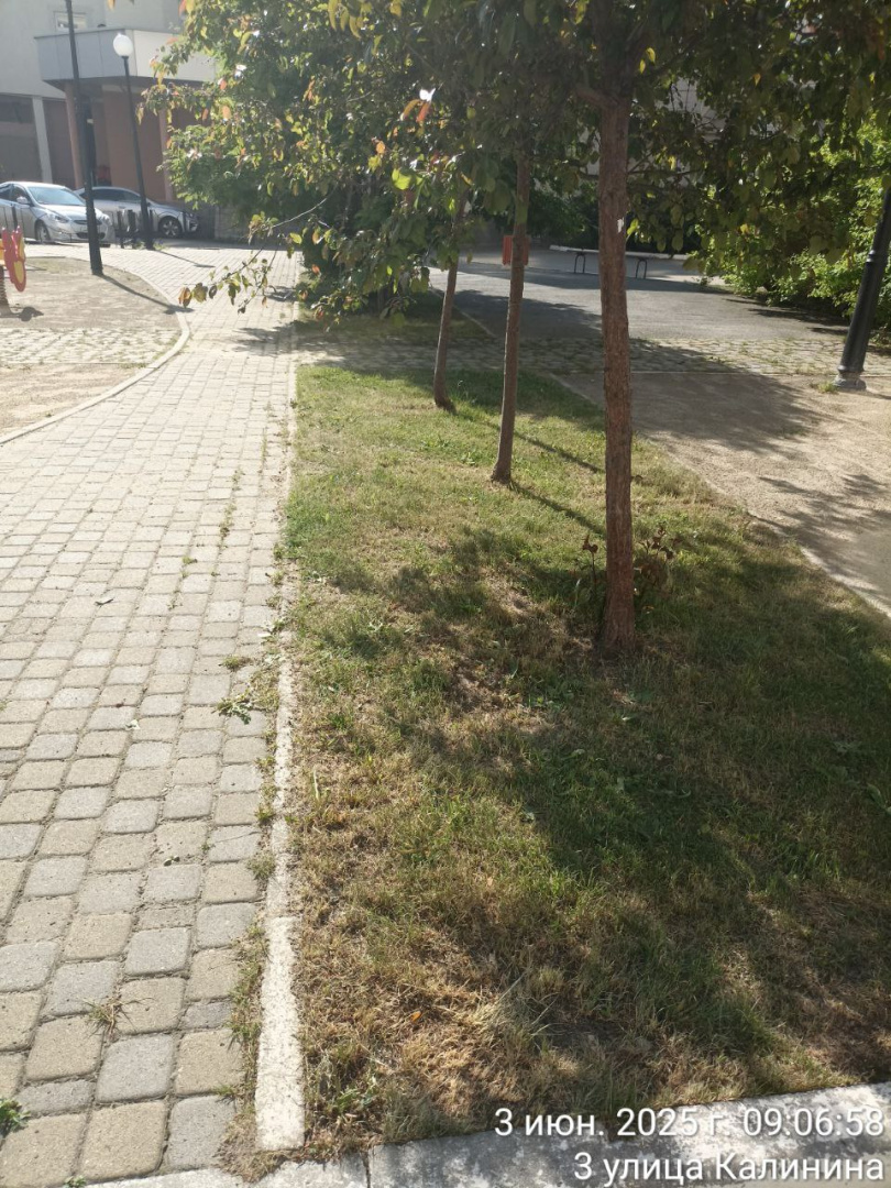 5328312144128767441.jpg